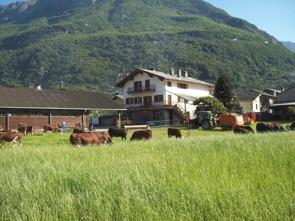 Agriturismo La Grange Pont-Saint-Martin Kültér fotó