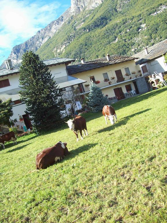 Agriturismo La Grange Pont-Saint-Martin Kültér fotó