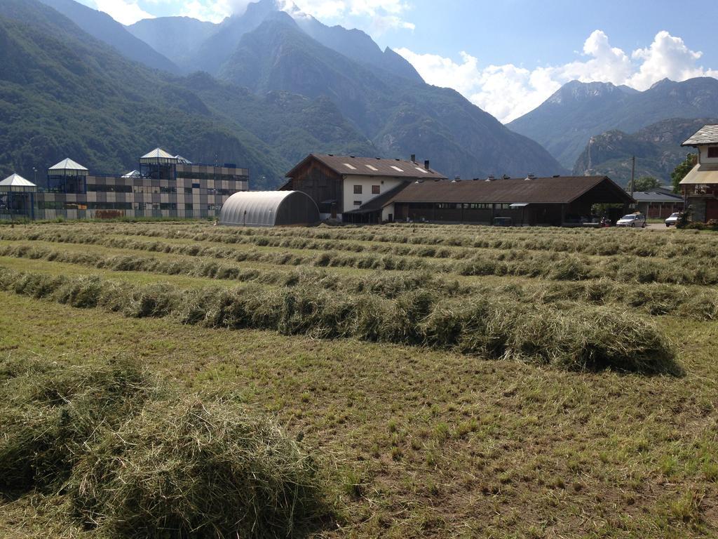 Agriturismo La Grange Pont-Saint-Martin Kültér fotó