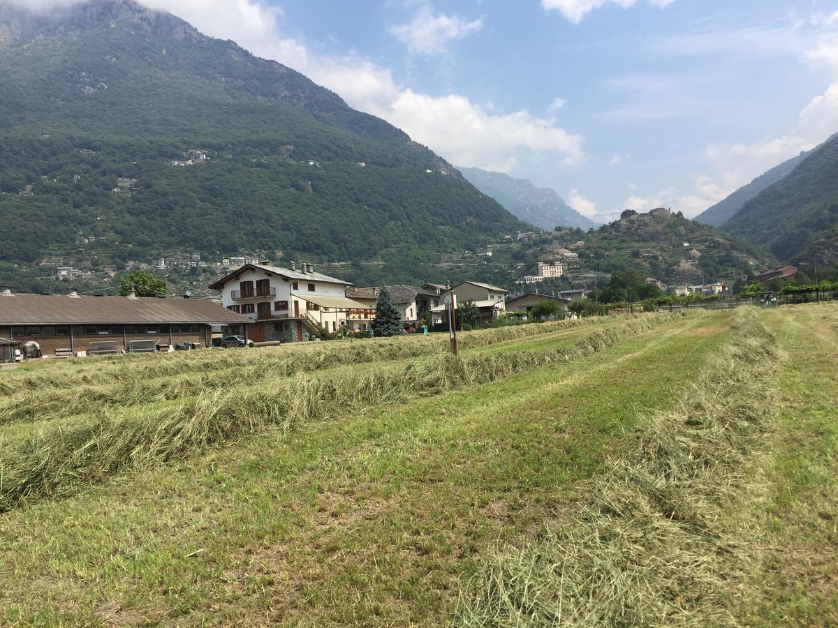 Agriturismo La Grange Pont-Saint-Martin Kültér fotó